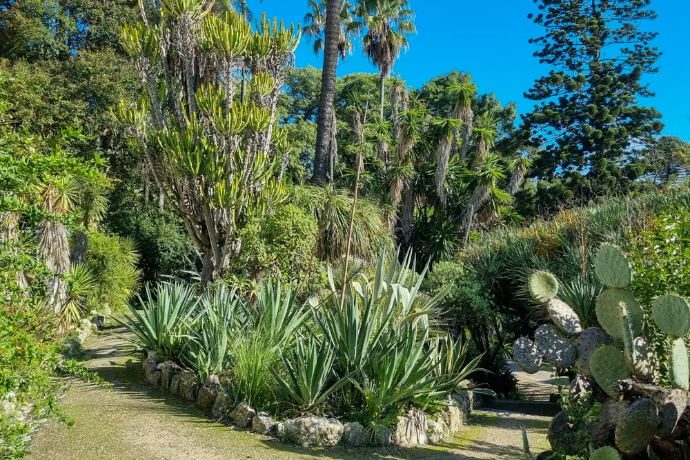 Jardim Botânico de Lisboa
