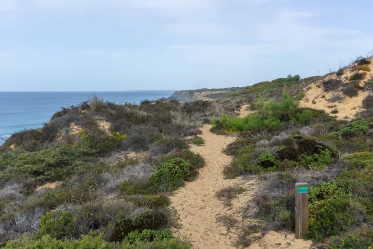 Rota Vicentina_ dit zijn de mooiste trails in Alentejo en Algarve