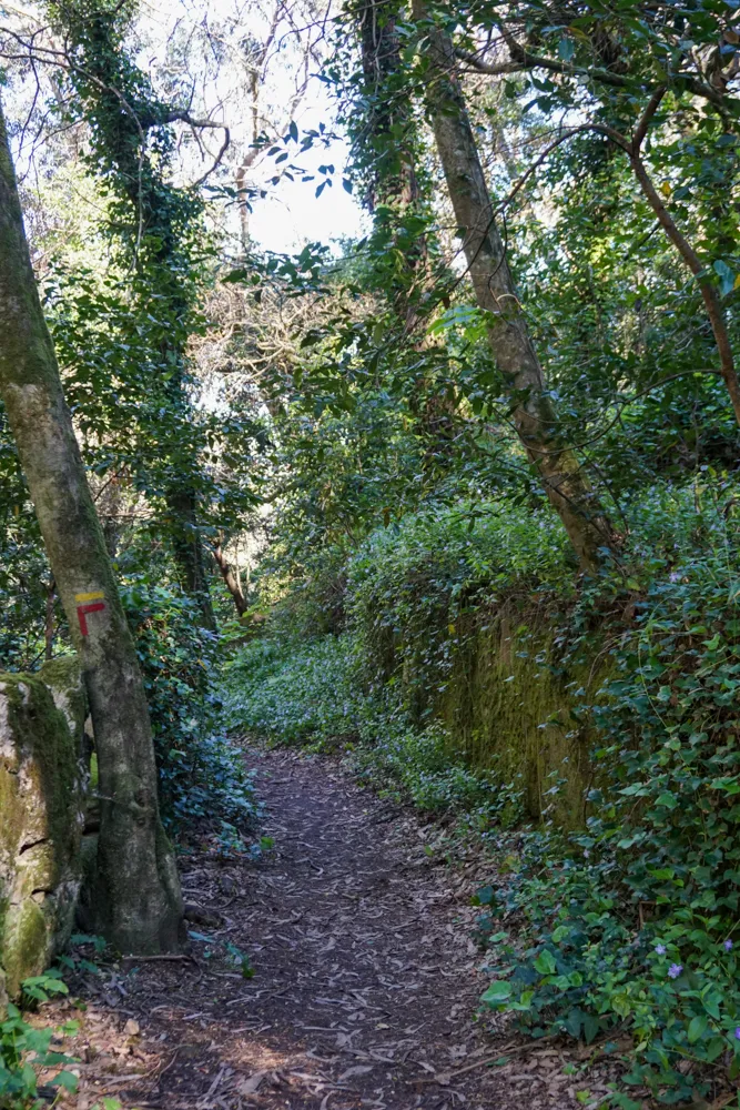 Wandelpad in Parque Natural de Sintra-Cascais
