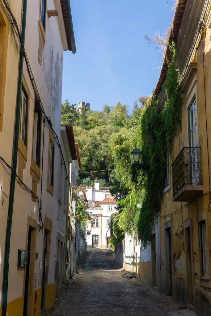 Smal straatje in het centrum van Tomar