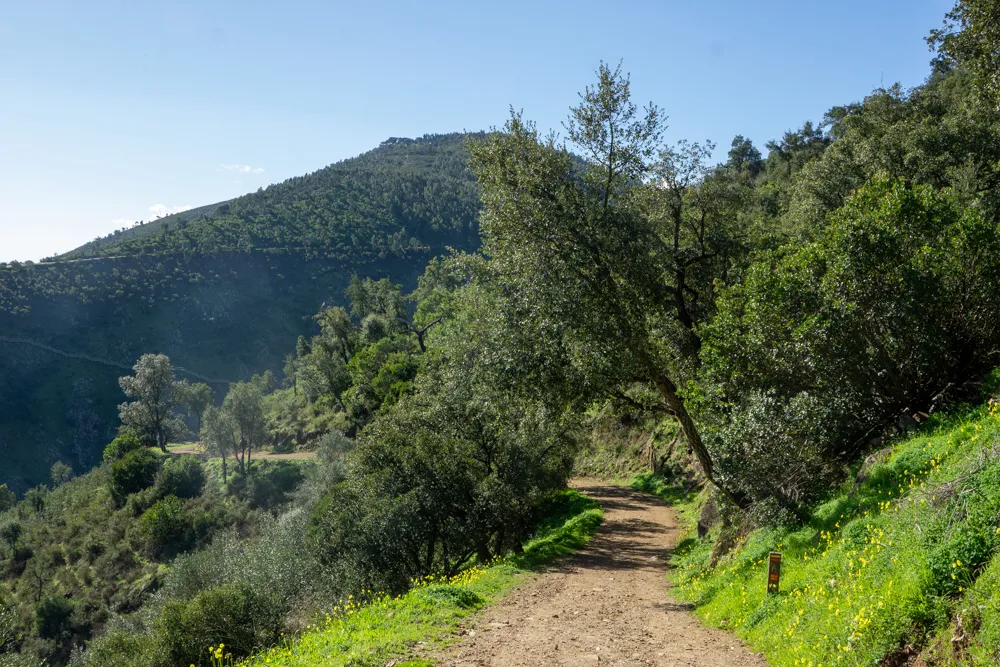 Onverharde weg bij Alferce